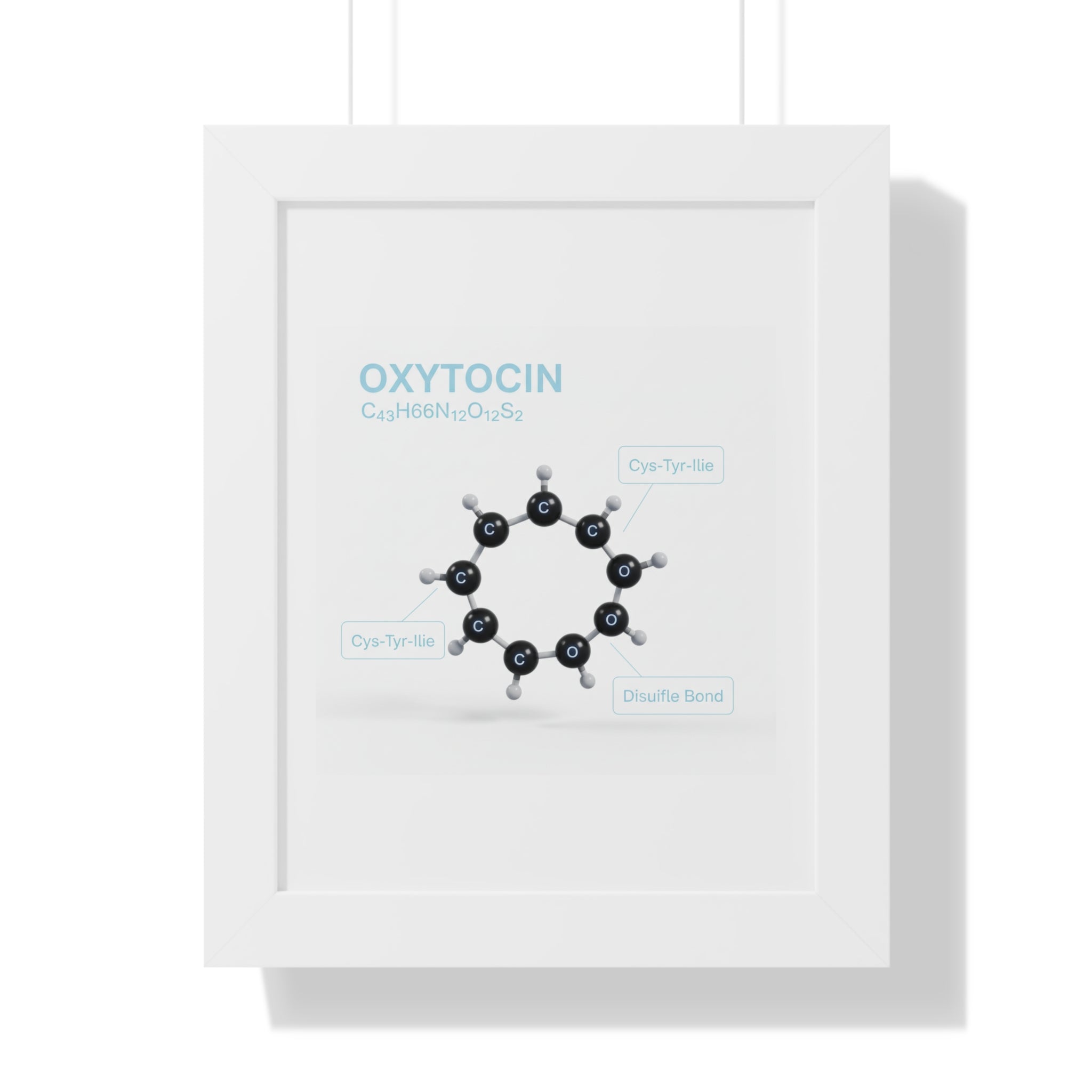 The Molecule of Belonging--Oxytocin Poster